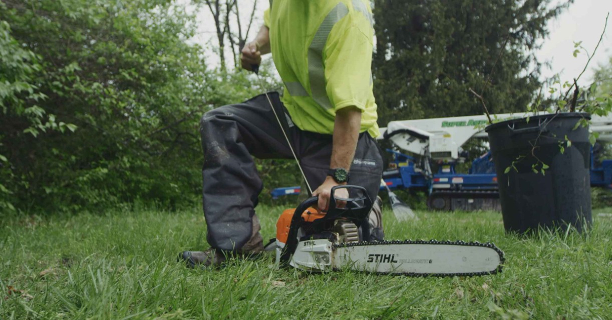 Professional tree service team at work in Celina, TX