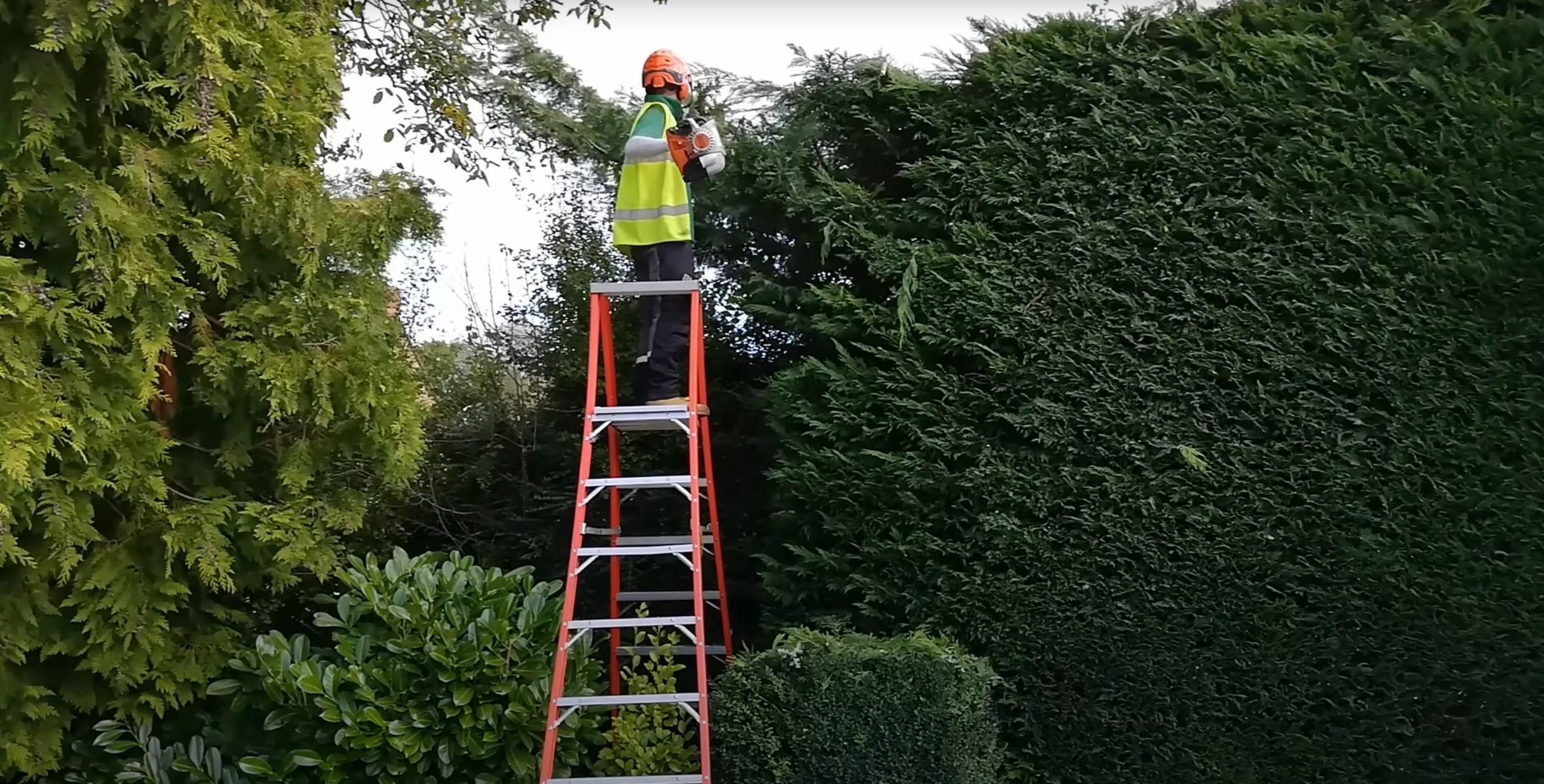 Professional hedge trimming service in Celina, TX